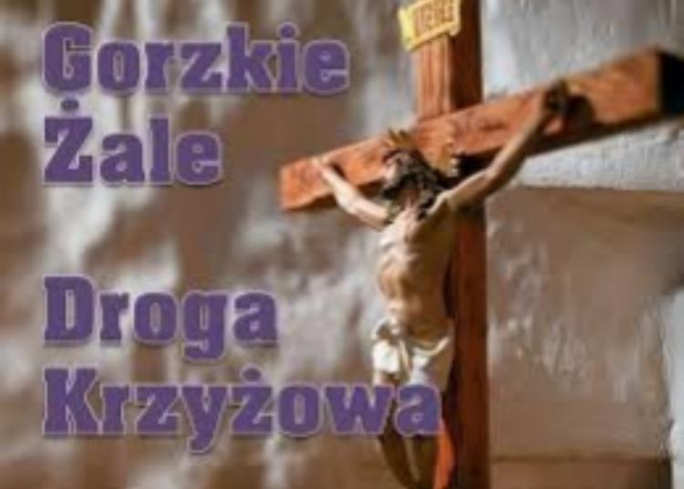 1771252334IMG20260216153152